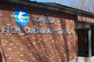 Oneida Fish Hatchery-NYS DEC